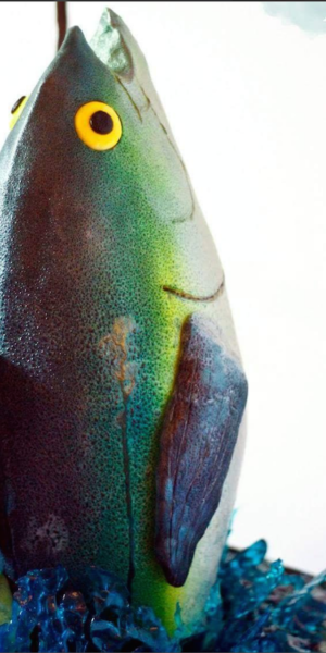 Screen Shot 2017-06-26 at 7.34.43 PM