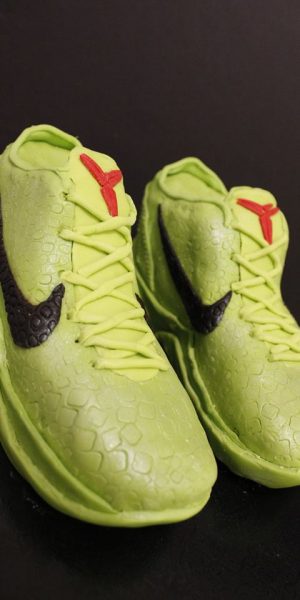 24852548_721215038158278_7861060538141389663_n